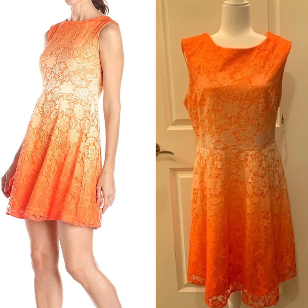 Sandra Darren Gradient Lace Overlay Spring Dress